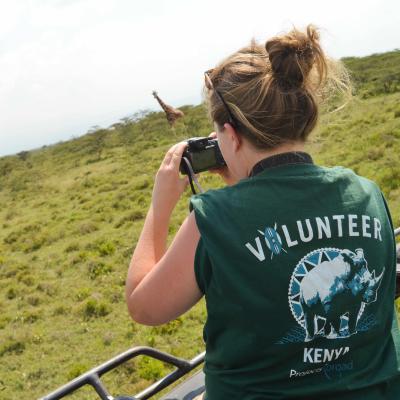 Durante su voluntariado de conservación de vida silvestre en Kenia, una voluntaria observa jirafas. Voluntaria observando jirafas como parte de su voluntariado de conservación en Kenia.
